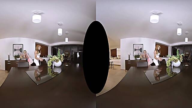 Vinna Reed,Vanessa Jhons in Hot Housekeeping - SexLikeReal Shemale