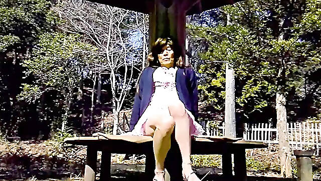 Pai-chans Spring in the Park